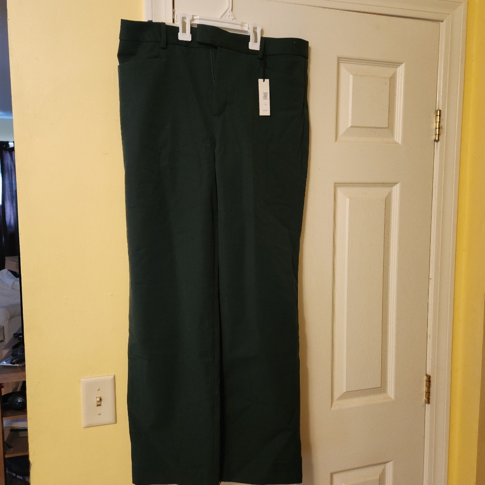 Hunter green straight leg pants BR